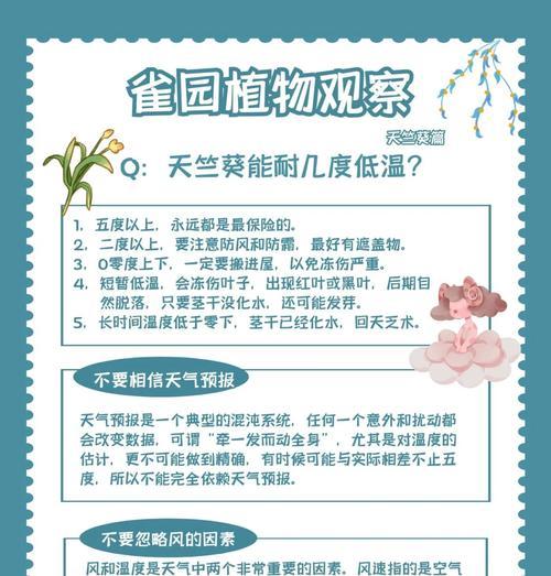 如何用天竺葵进行科学实验？实验步骤和注意事项是什么？