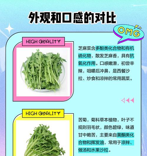 苦菊菜叶子发黄是什么原因？如何解决？