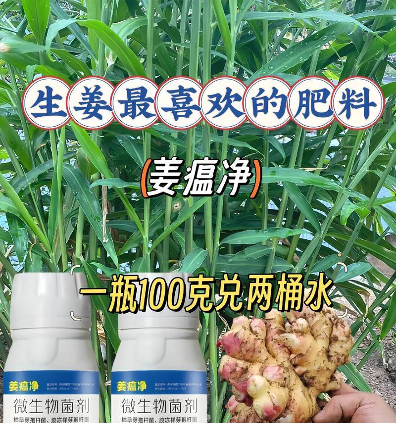自制腐肥肥料的方法有哪些？