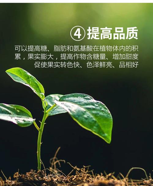 自制腐肥肥料的方法有哪些？