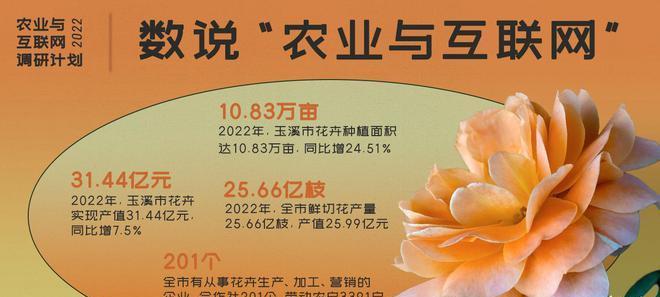 农香42的最佳播种时间是什么时候？