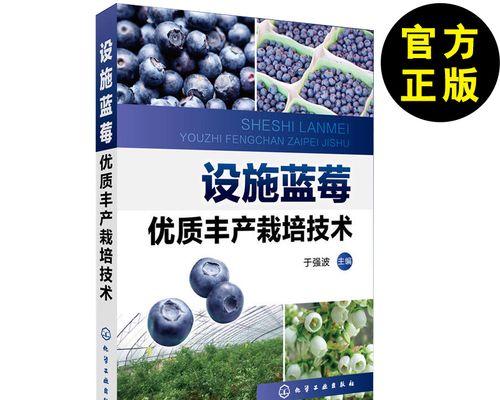 蓝莓丰产栽培的关键技术要点是什么？