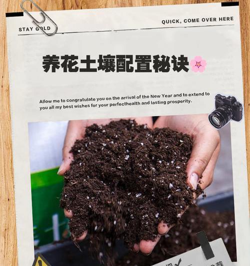 盆景土壤调配的正确步骤是什么？