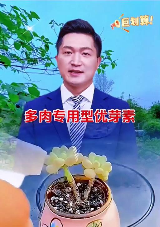 天竺葵优芽素的正确使用方法是什么？