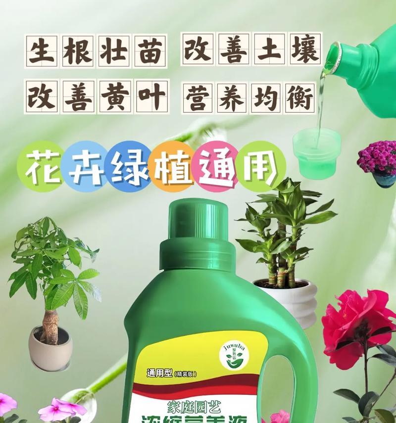 养花时如何正确施用营养液？