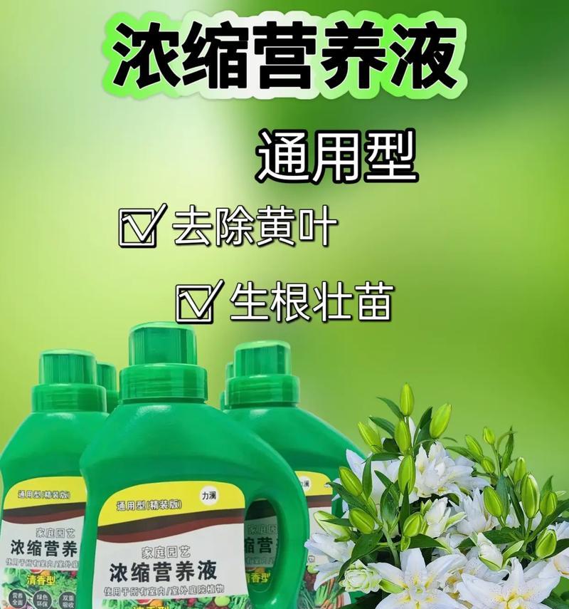养花时如何正确施用营养液？