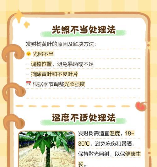 松树叶子发黄的救活方法是什么？