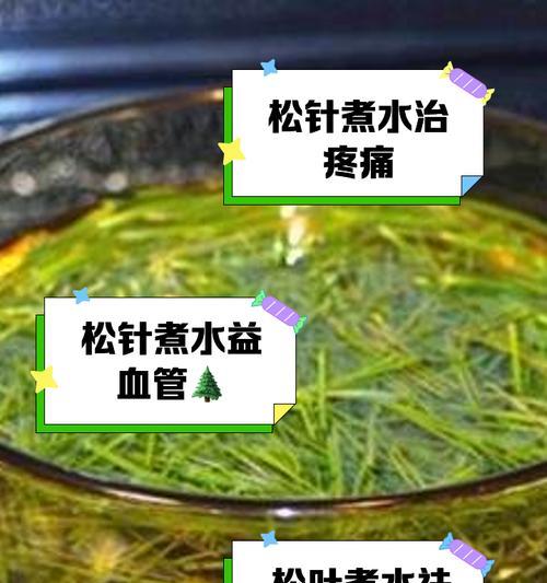 松树叶子发黄的救活方法是什么？