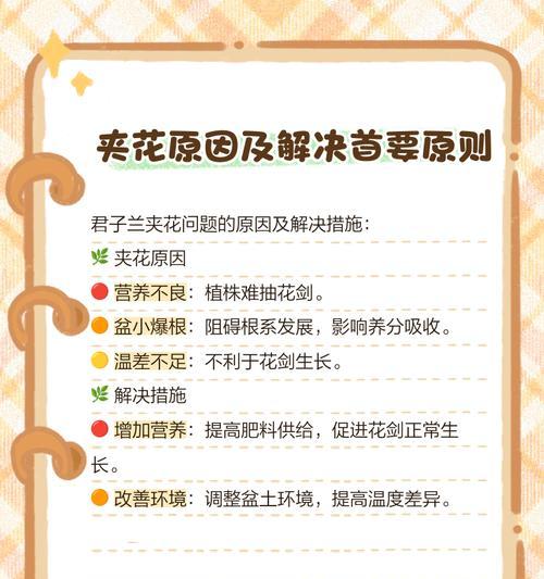 君子兰叶片夹伤后应如何处理？