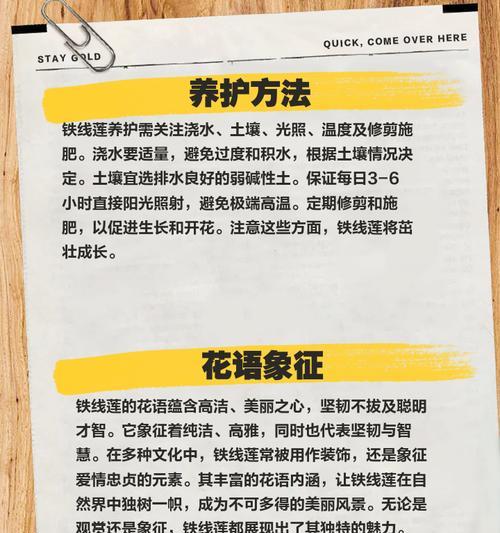 铁线莲移栽后如何管理？