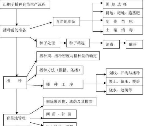 甜麦菜播种的最佳时机是什么时候？播种前需要准备什么？