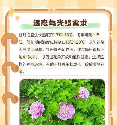养花加肥有哪些小技巧？怎样才能恰到好处？