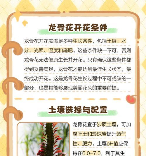 养花加肥有哪些小技巧？怎样才能恰到好处？