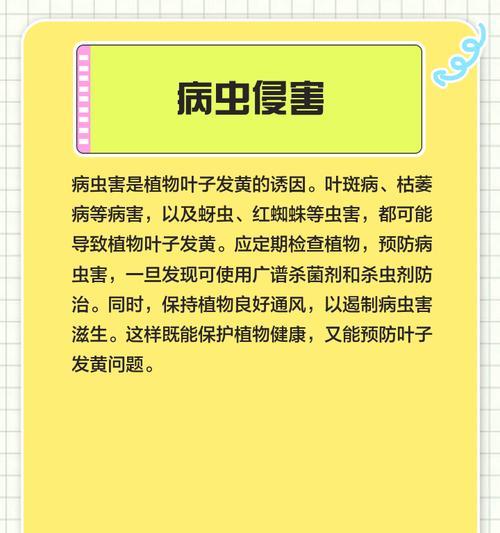 西瓜新叶发黄是什么原因？如何解决？