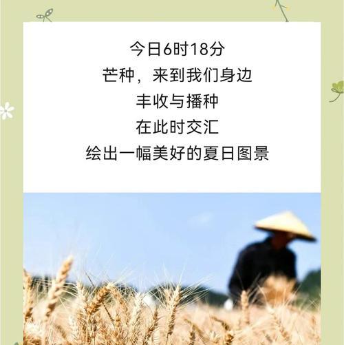 八月稻子什么时候播种最合适？需要注意什么？