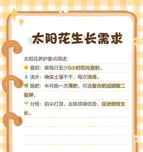 太阳花施肥的正确技巧是什么？