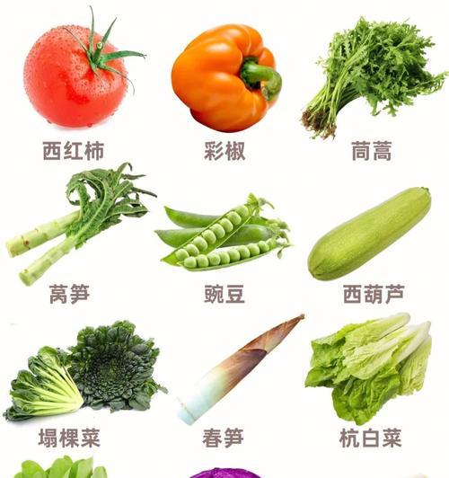 浙江三月份适合播种什么蔬菜？三月蔬菜播种的注意事项是什么？