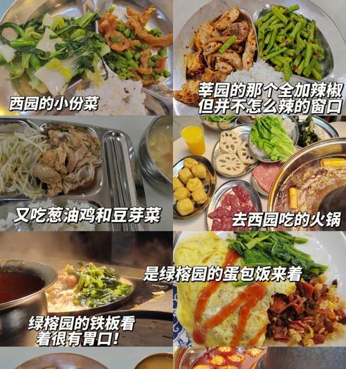 榕菜栽培的关键技术要点是什么？常见问题如何应对？