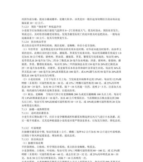 无水栽培小麦的关键技术要点是什么？