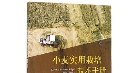 无水栽培小麦的关键技术要点是什么？