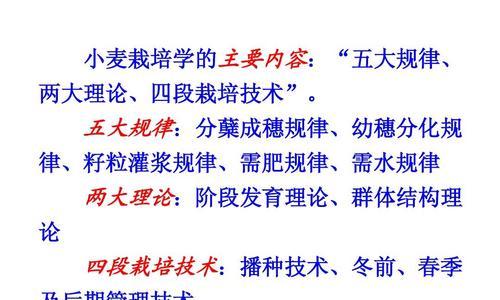 无水栽培小麦的关键技术要点是什么？