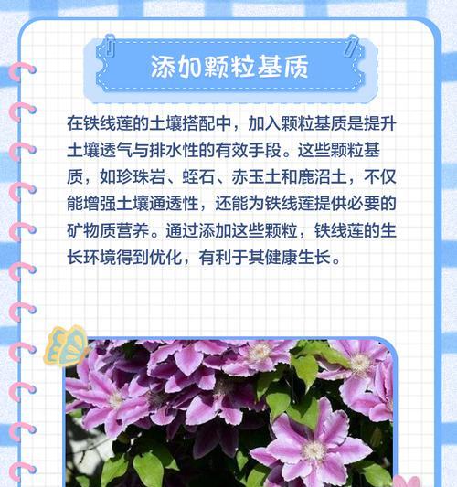 铁线莲小苗脱土上盆的正确方法是什么？