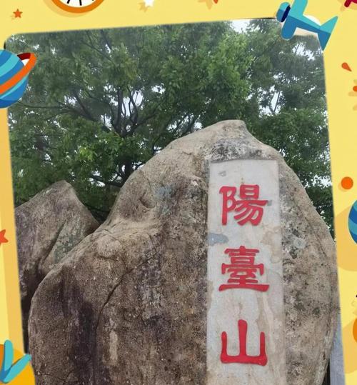 阳台山上适合种植哪些花卉？