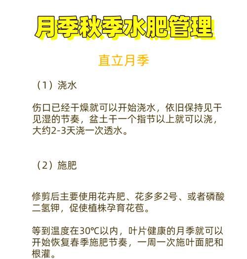月季施肥怎样才能多长花苞？