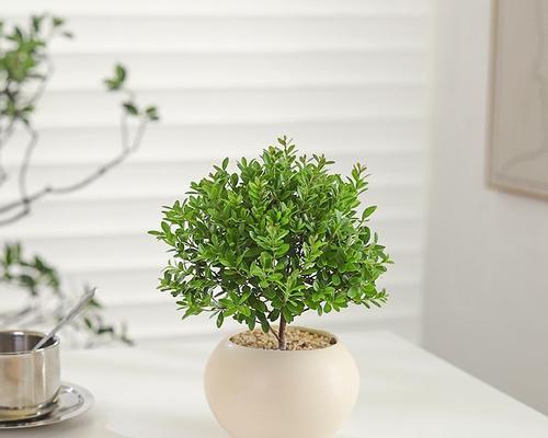 广东地区适合种植哪些观赏植物？