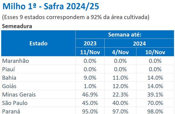 2025年沈阳玉米的最佳播种时间是什么时候？
