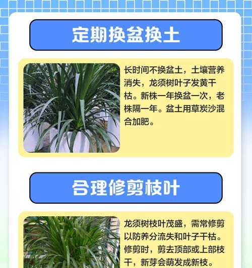 花卉换盆后叶子发黄枯萎的补救措施？