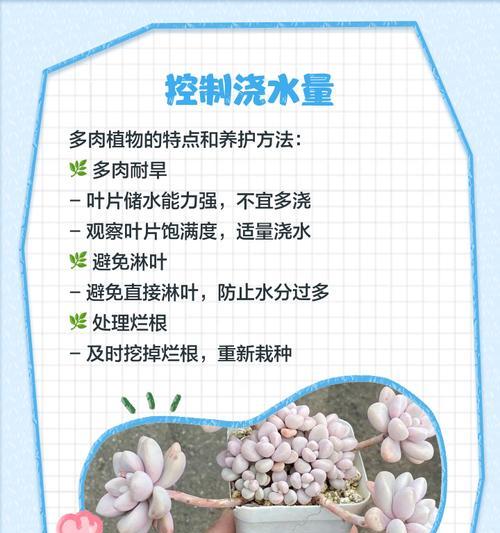 花卉换盆后叶子发黄枯萎的补救措施？