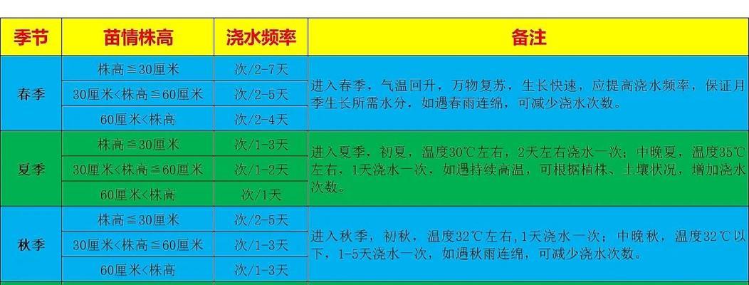 月季施肥应该怎样正确浇水？