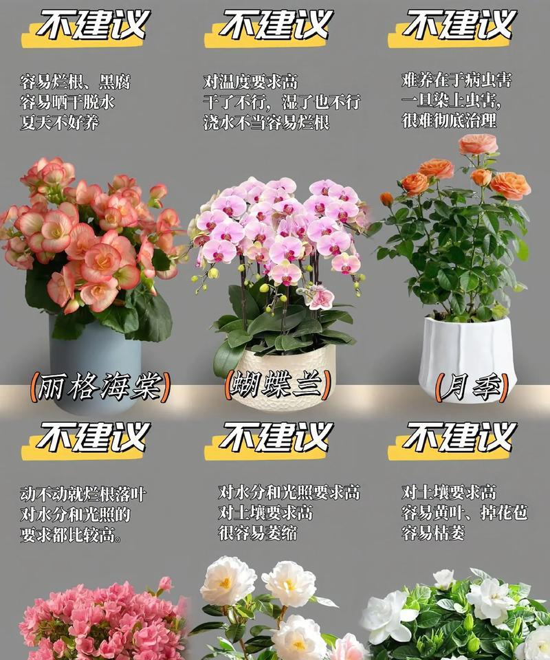 培养花有哪些技巧？如何提高养花知识？