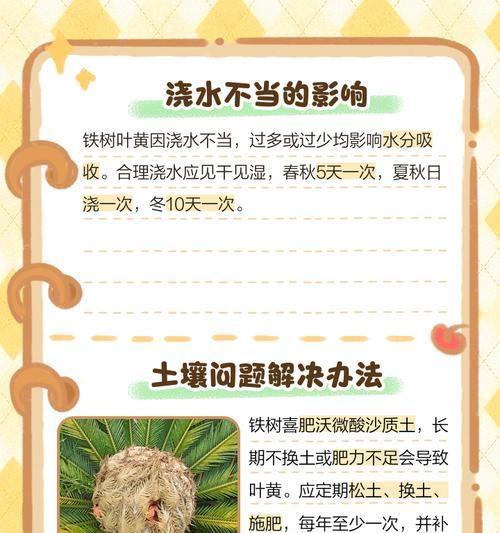 铁线莲根部枝干发黄是什么原因？