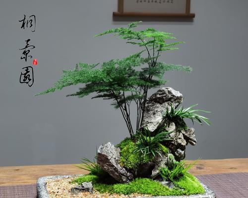 盆景苔藓粉的正确使用方法是什么？