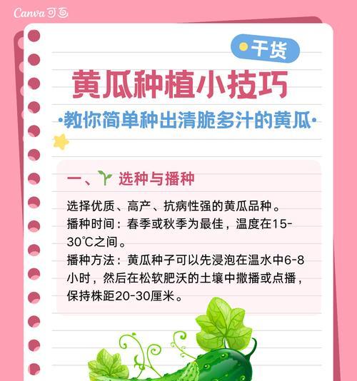 高产栽培技术的标准规范是什么？