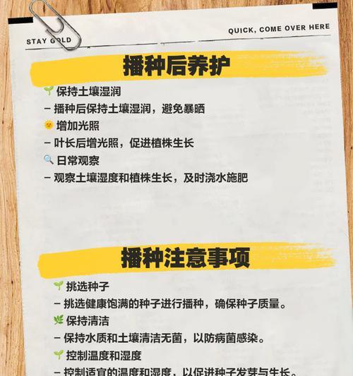 朱顶红种植后晒太阳的最佳时机是什么时候？