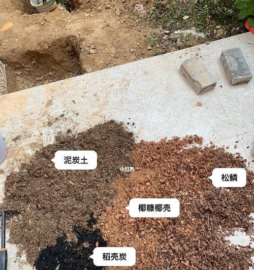 使用鸡粪种植月季的正确用量是多少？