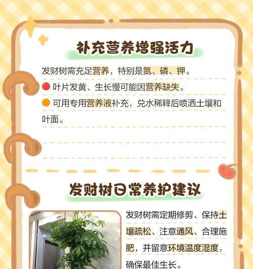 雪松叶子发黄干枯的救治方法是什么？如何恢复雪松的健康？