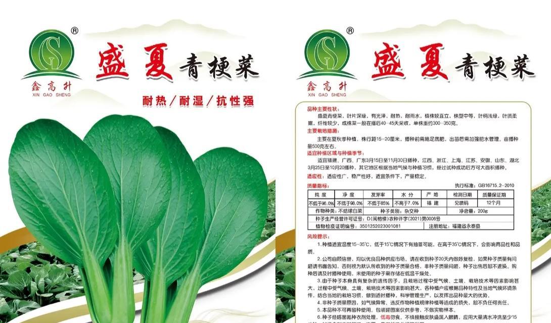 盛夏时节播种哪些蔬菜最为合适？