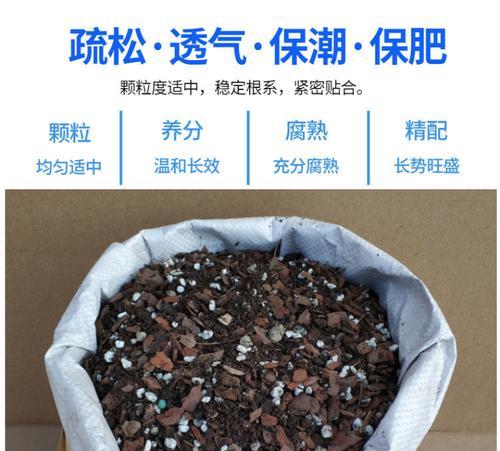 君子兰腐殖土漏水怎么办？如何解决君子兰土壤排水问题？