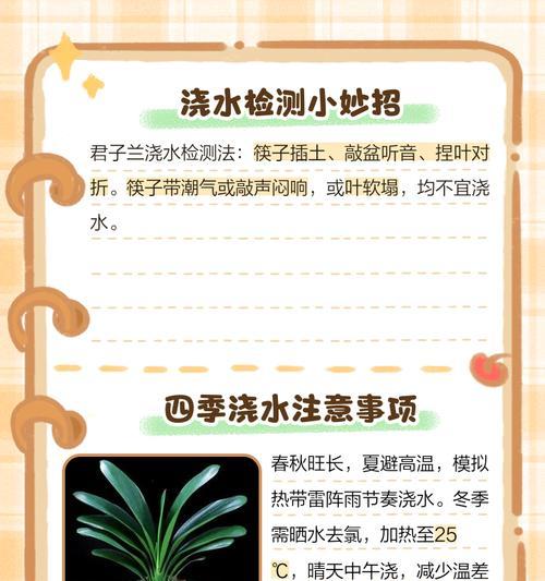 君子兰小苗水培的养护技巧有哪些？