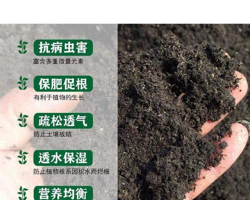 西瓜播种基质是什么？如何选择合适的播种基质？