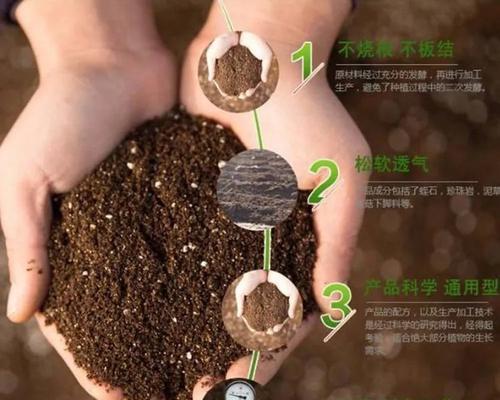 西瓜播种基质是什么？如何选择合适的播种基质？