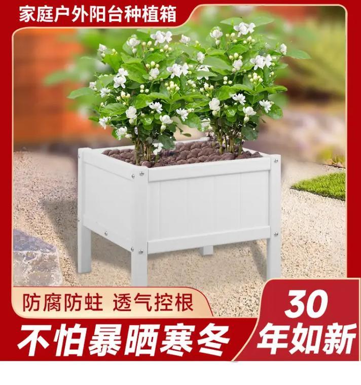 绿罗兰叶子发黄枯萎如何应对？有哪些解决措施？