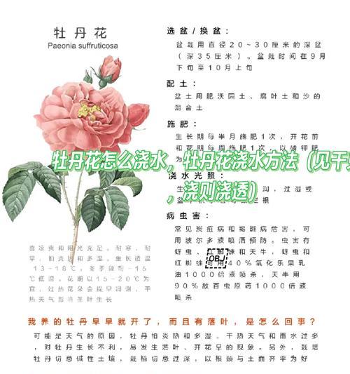 修剪后的盆景花浇水技巧有哪些？
