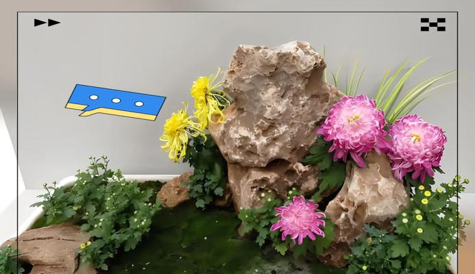 修剪后的盆景花浇水技巧有哪些？