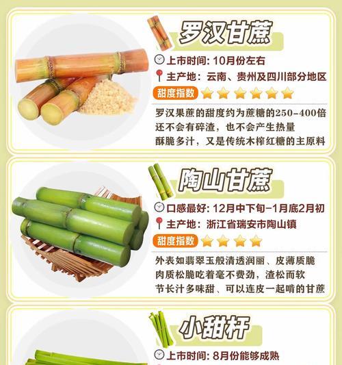 甘蔗种植的技术要求是什么？如何提高产量？