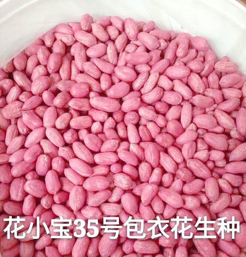 滁州花生最佳播种时间是什么时候？